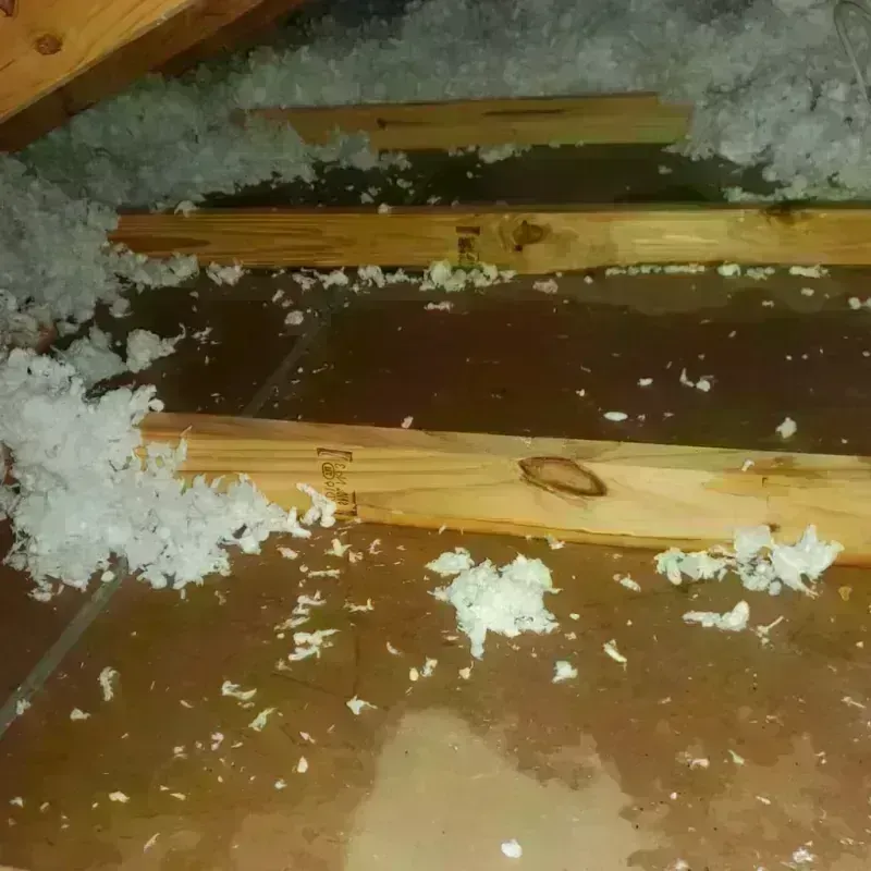 Attic Water Damage in Alsip, IL