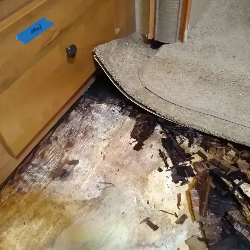 Wood Floor Water Damage in Alsip, IL